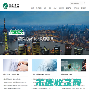 深圳市鼎盛动力发展有限公司