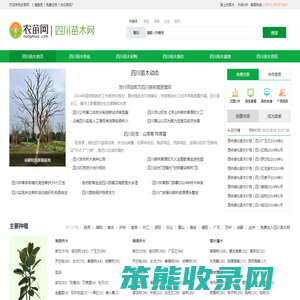 四川苗木