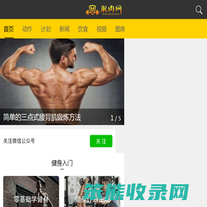 肌肉网