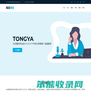 湖北瞳亚网络