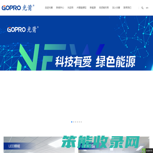 光莆股份