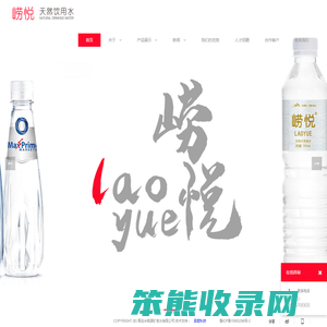 广告水