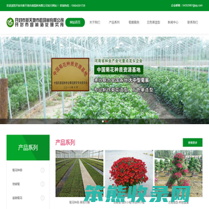 开封市园林菊花研究所