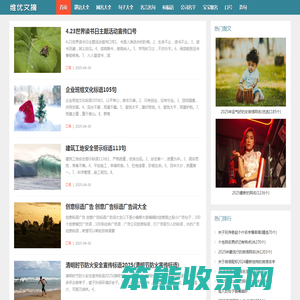 维优网