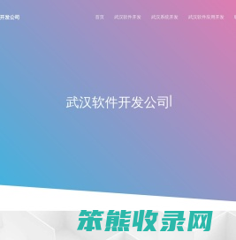 武汉软件外包公司