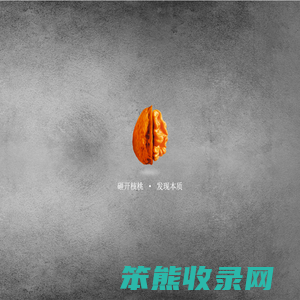 广州品牌策划公司,做品牌策划公司,专业品牌咨询机构【核桃品牌】