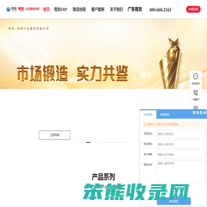 ERP软件专家
