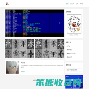 首页