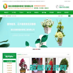 武汉植物租赁