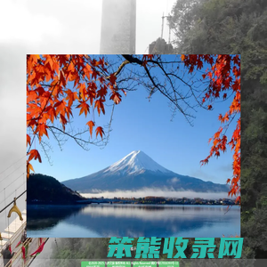 九州文旅网