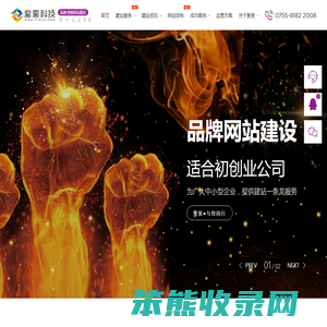 品牌网站制作设计