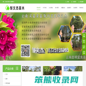 云南花木苗木斗南呈贡宜良苗圃基地批发市场在哪里