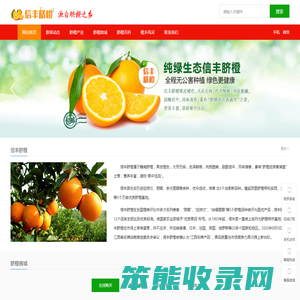 信丰脐橙网