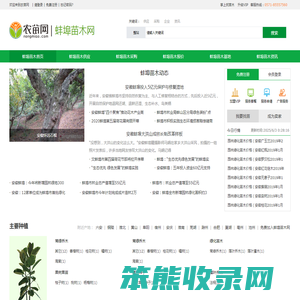 蚌埠苗木
