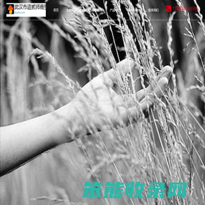 武汉市遣贰师商贸有限公司