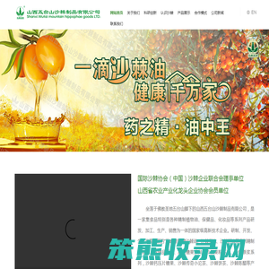 五台山沙棘网