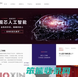 安徽国芯人工智能有限公司