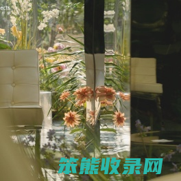首页