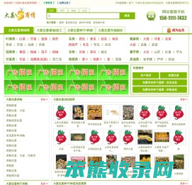 中国大姜生姜商情网