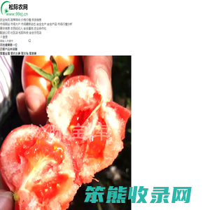 松际农网
