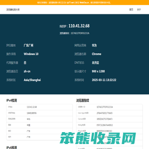 浏览器检测大师