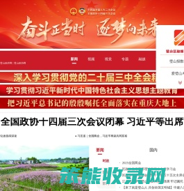 璧山网