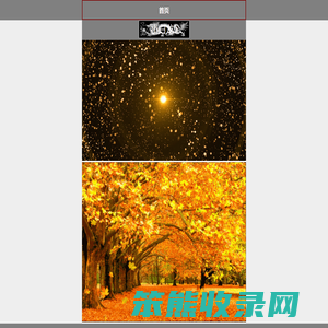 小白龙9