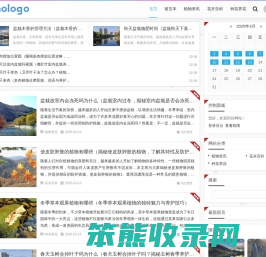 拉毛果网