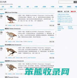 震旦鸟网
