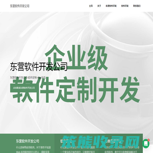 东营软件开发公司