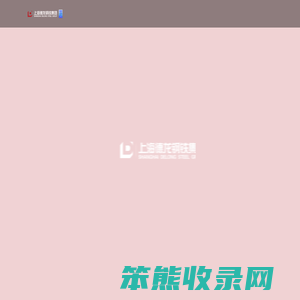 上海德龙钢铁集团有限公司