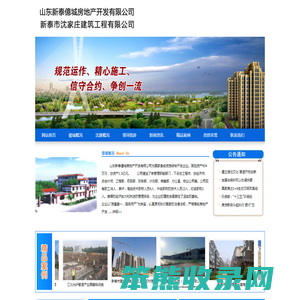 山东新泰