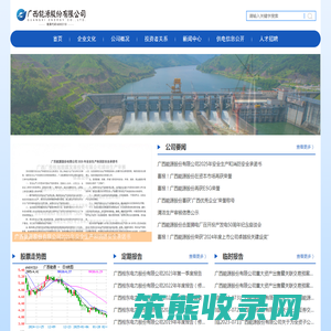广西能源股份有限公司
