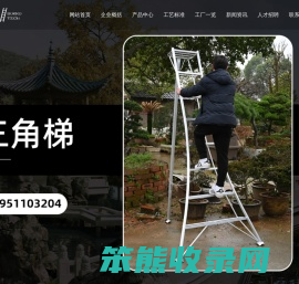 铝合金踏步梯