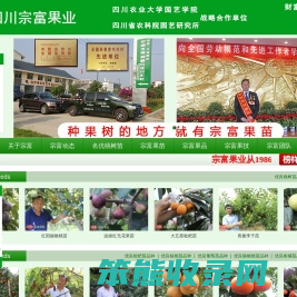 成都天府新区宗富水果种植专业合作社