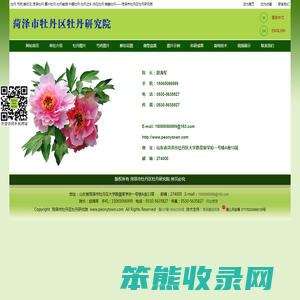 牡丹,芍药,鲜切花,牡丹栽培,牡丹销售,菏泽牡丹,中国牡丹