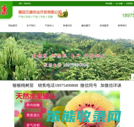 种植好项目/万康农业