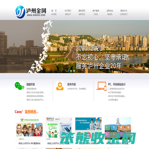 泸州金网简介,泸州网站建设,泸州网络公司,泸州网站制作,泸州微信网站,泸州手机网站