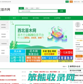 西北苗木网