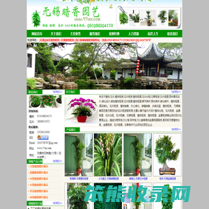无锡专业植物租赁